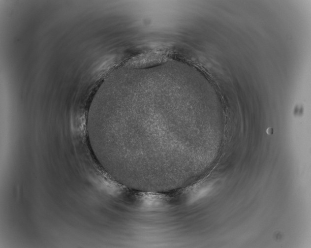 X0000098050336200804111319