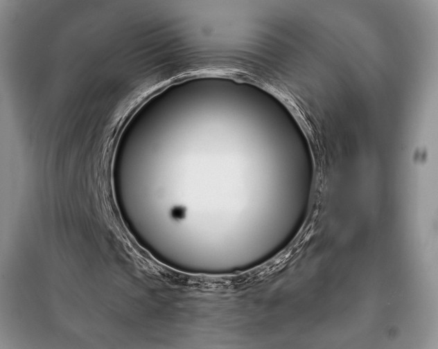 X0000098050337200804111318