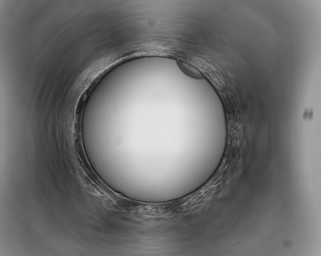 X0000098050338200804111318