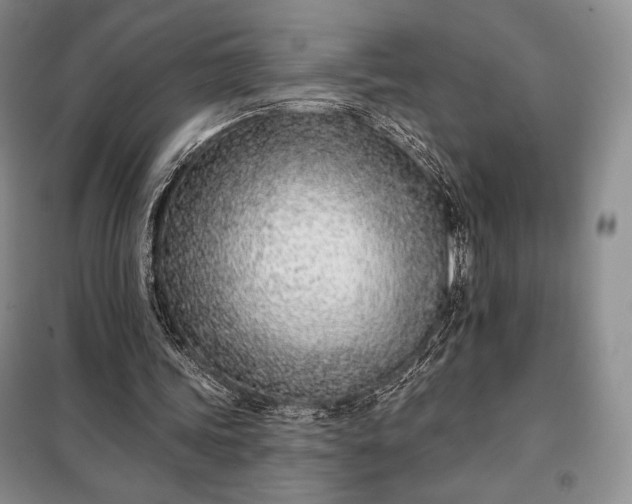 X0000098050339200804111318