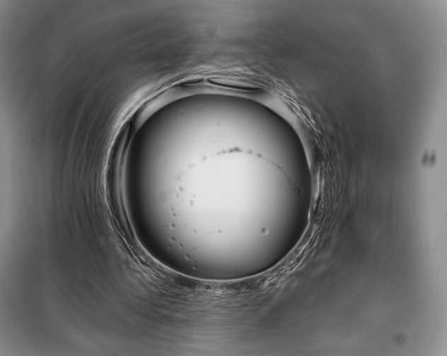 X0000098050340200804111318