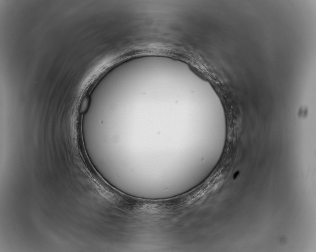 X0000098050341200804111318