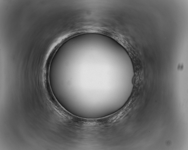 X0000098050342200804111318