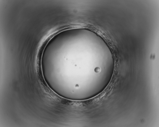 X0000098050343200804111318