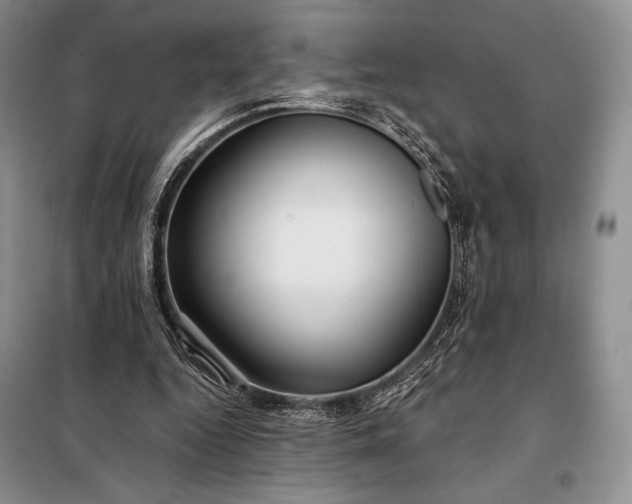 X0000098050344200804111318