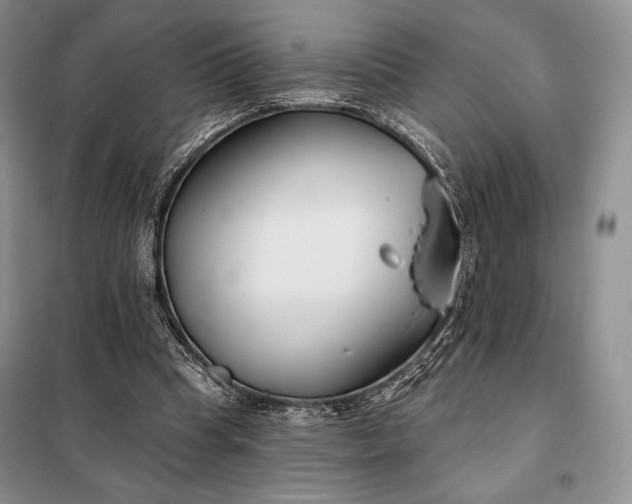 X0000098050345200804111318