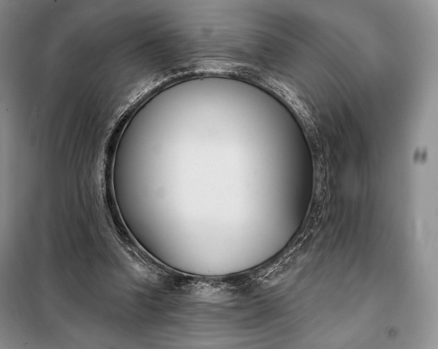 X0000098050346200804111318