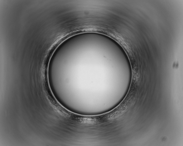 X0000098050347200804111318