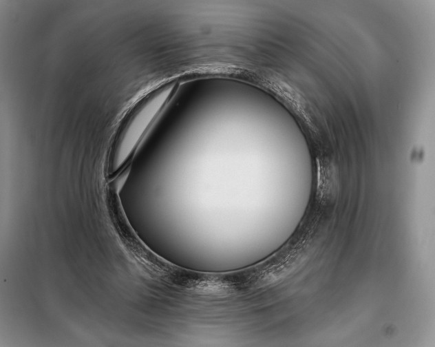 X0000098050348200804111318