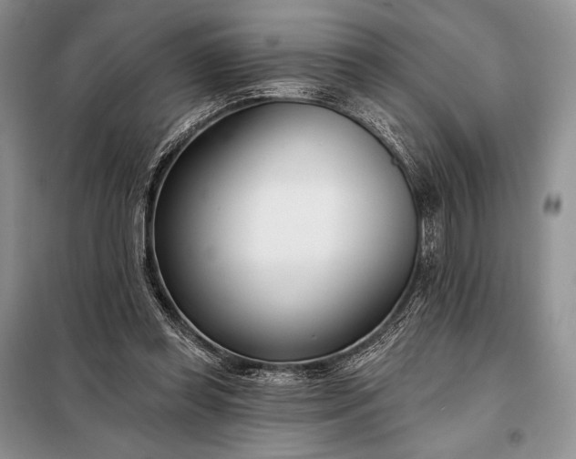 X0000098050349200804111318