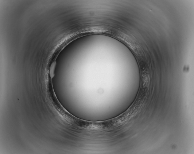 X0000098050350200804111318