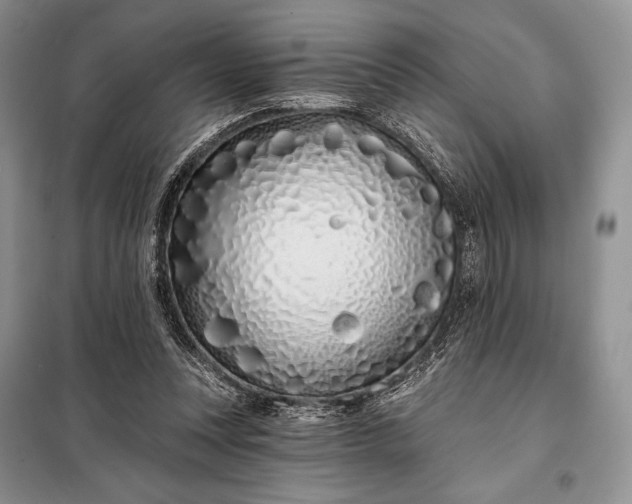 X0000098050351200804111318