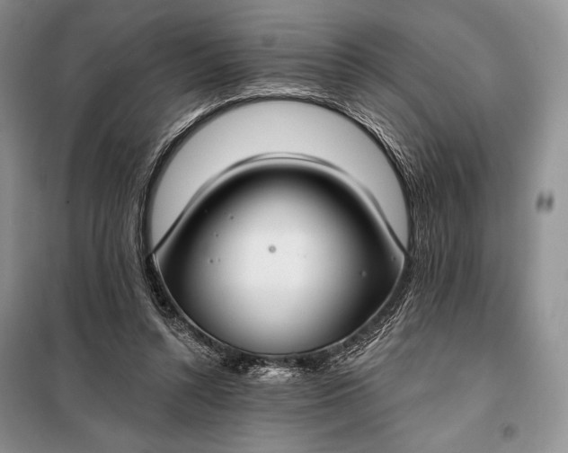 X0000098050352200804111318