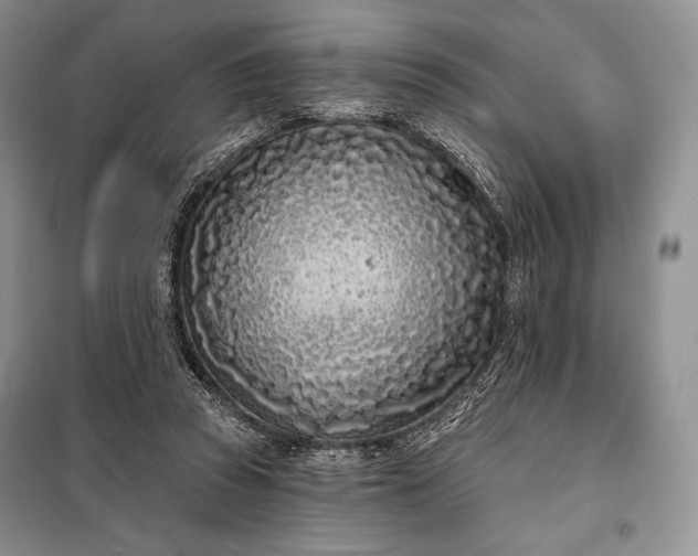 X0000098050353200804111318