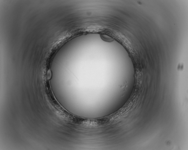 X0000098050354200804111318