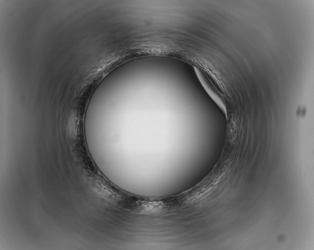 X0000098050355200804111318