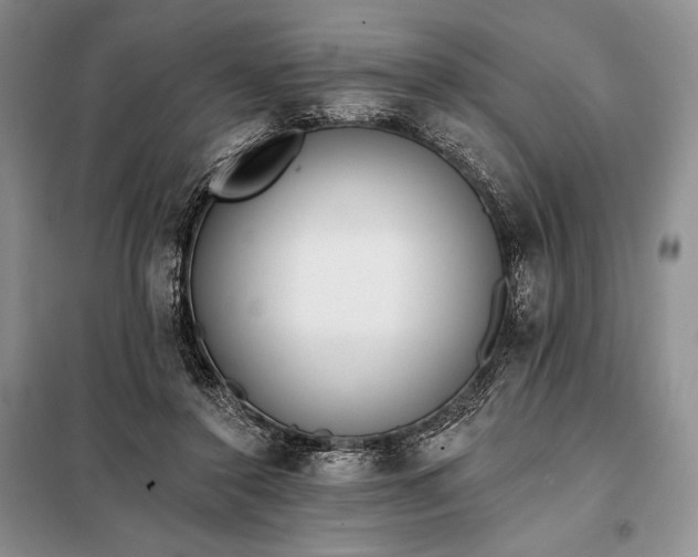 X0000098050356200804111318