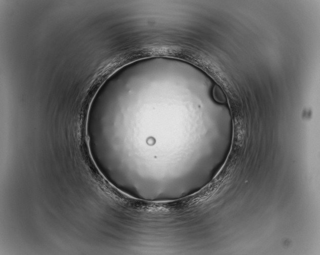 X0000098050357200804111318