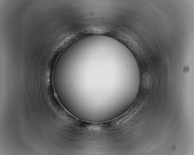 X0000098050358200804111318