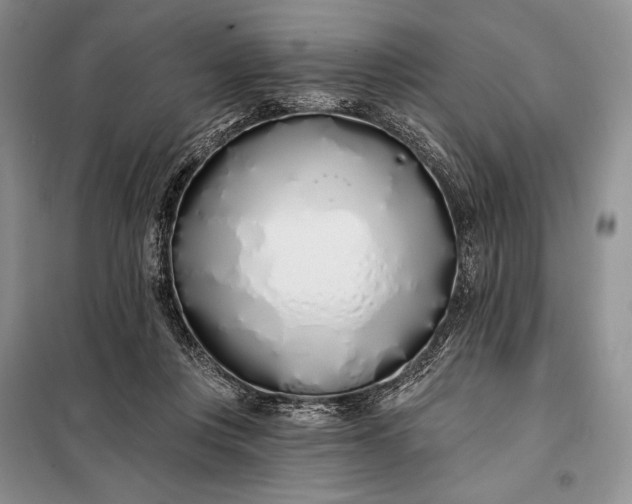 X0000098050359200804111318