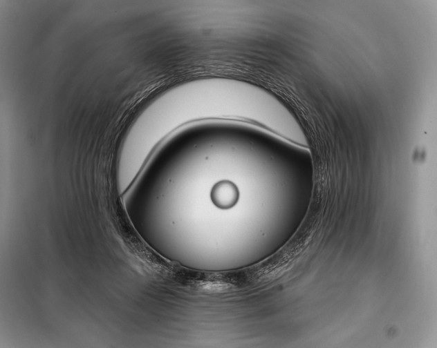 X0000098050360200804111319