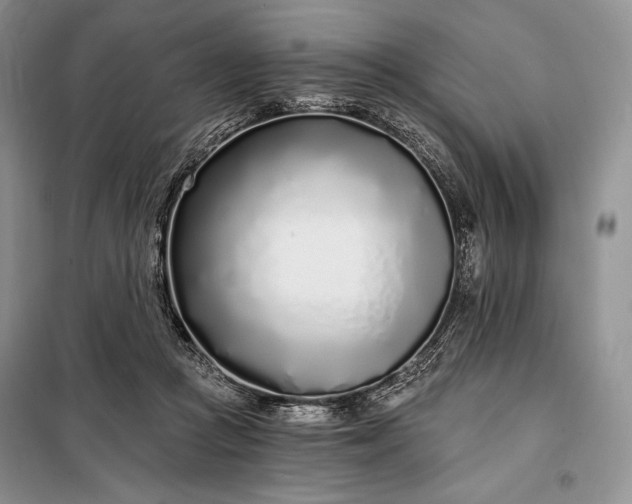 X0000098050361200804111319