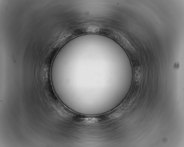 X0000098050363200804111319