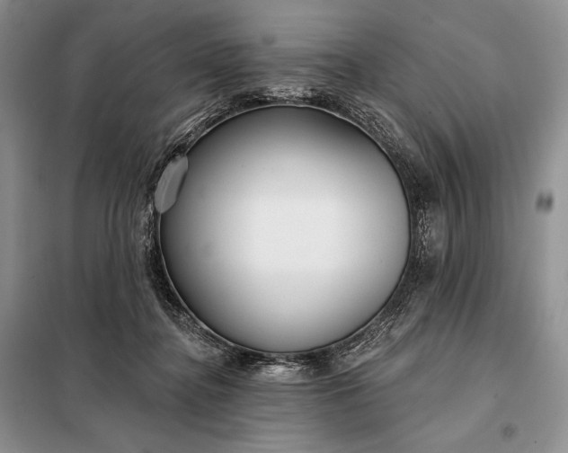 X0000098050364200804111319