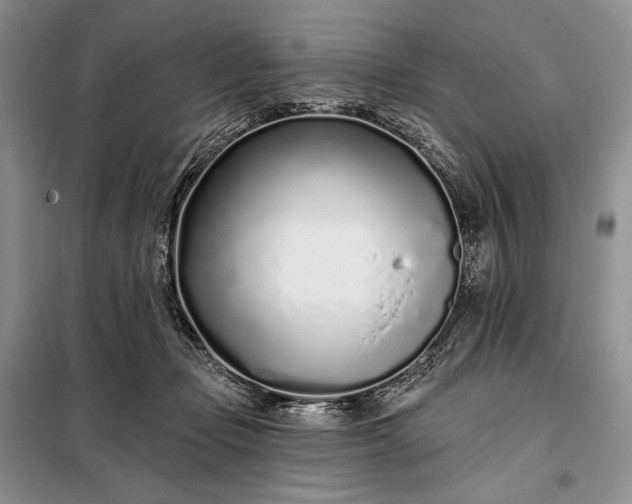 X0000098050365200804111319