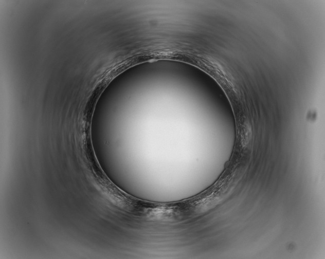 X0000098050366200804111319