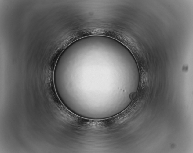 X0000098050367200804111319