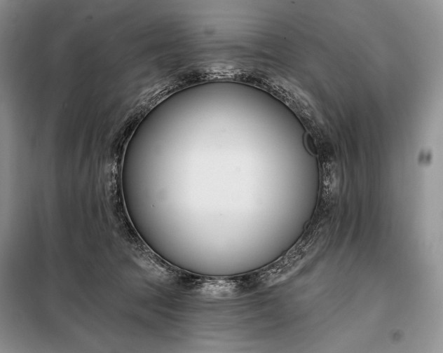 X0000098050369200804111319