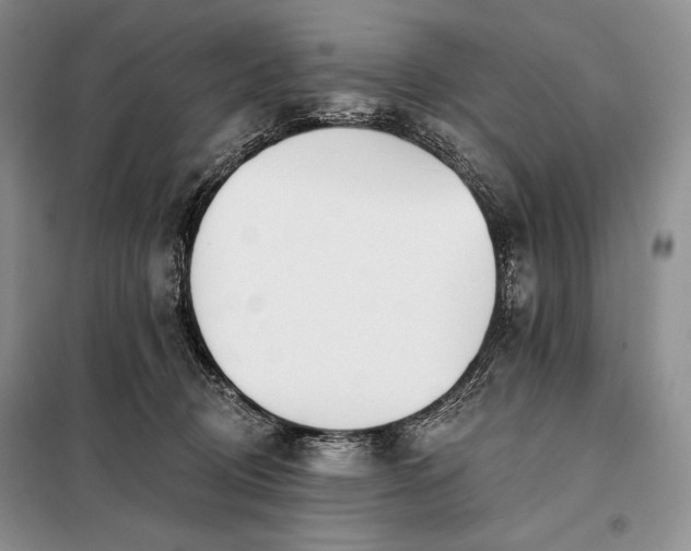 X0000098050370200804111319