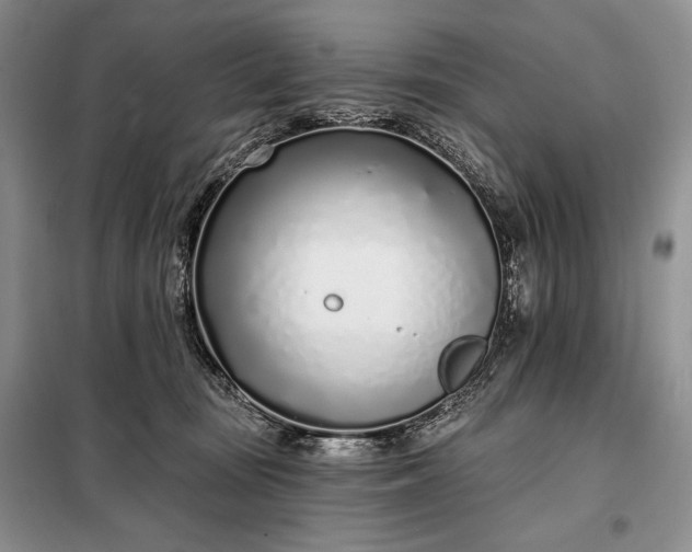 X0000098050371200804111319