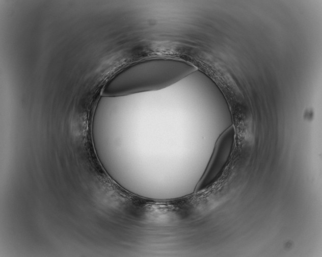 X0000098050372200804111319