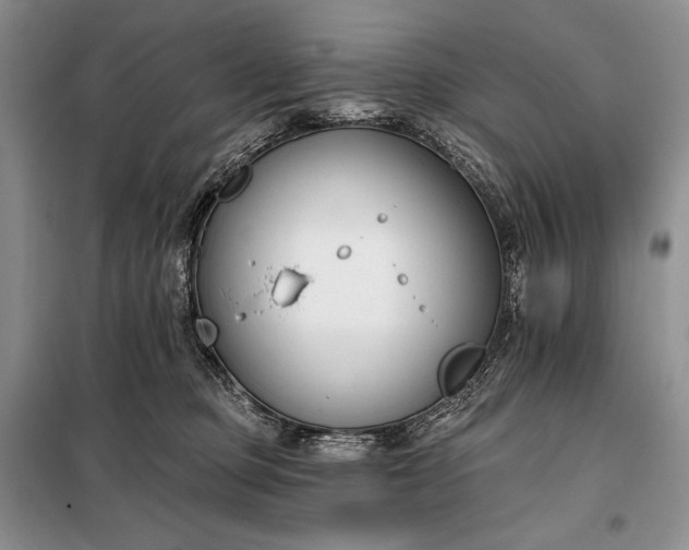 X0000098050373200804111319