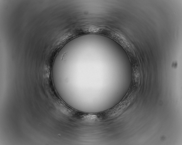 X0000098050374200804111319