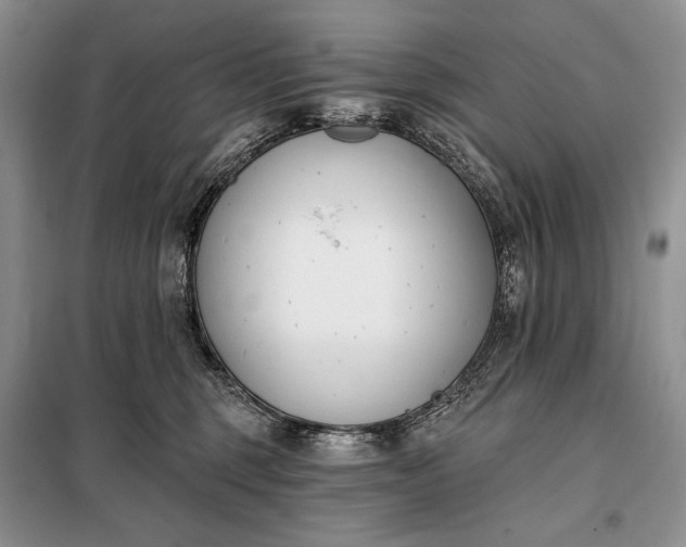 X0000098050375200804111319