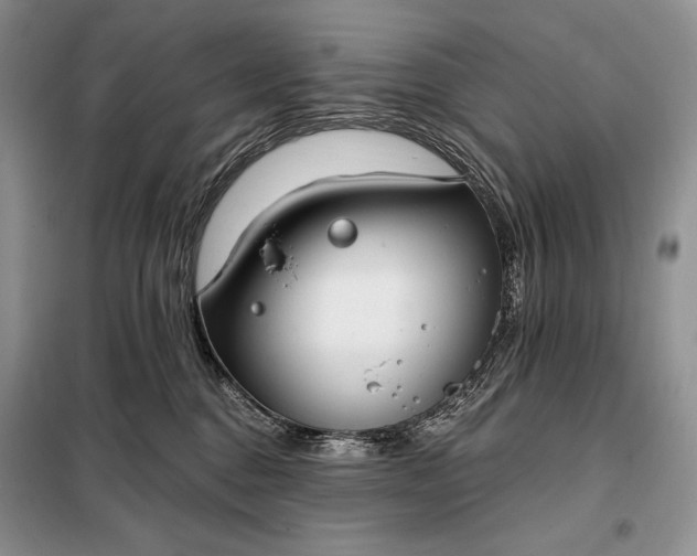 X0000098050376200804111319