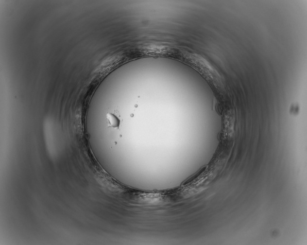 X0000098050377200804111319