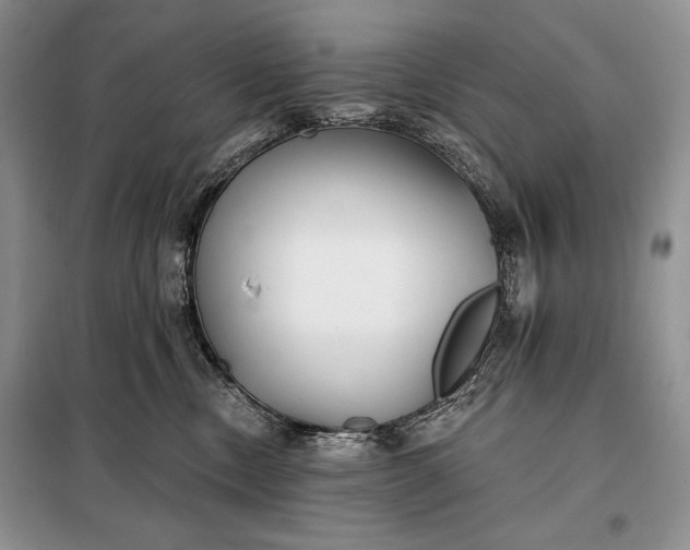 X0000098050378200804111319