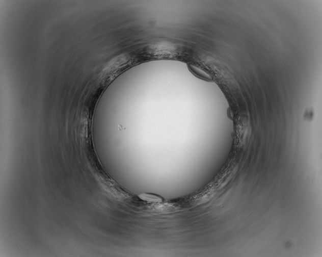 X0000098050379200804111319