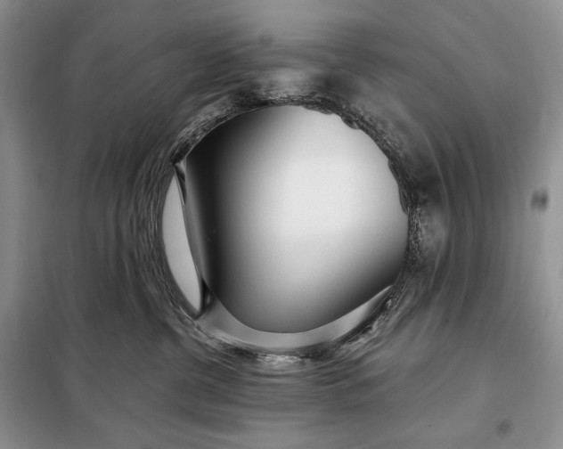 X0000098050380200804111319