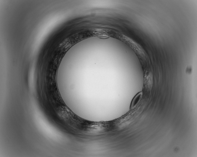 X0000098050381200804111319