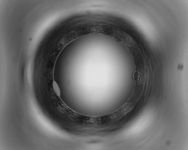 X0000098050383200804111319