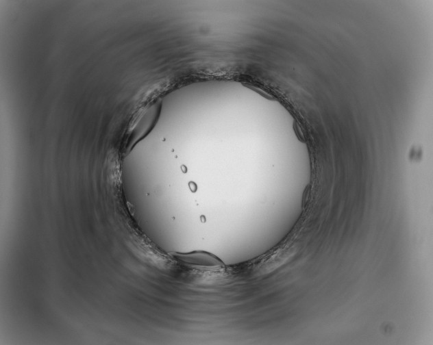 X0000098050384200804111319