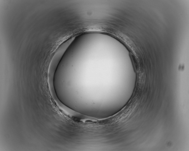 X0000098050385200804111318