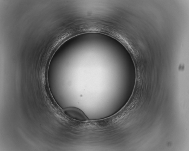 X0000098050386200804111318