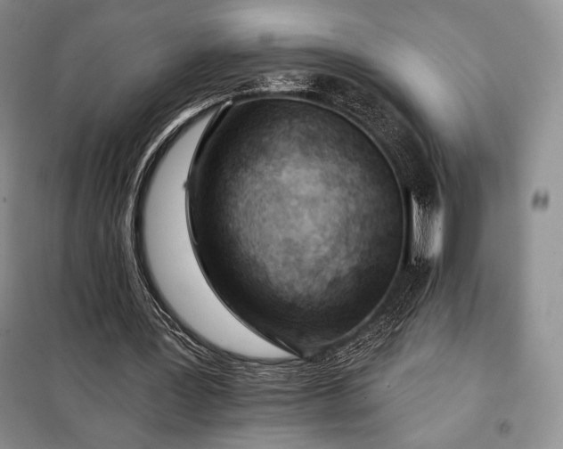 X0000098050387200804111318