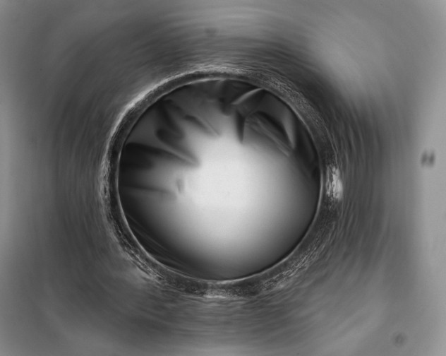 X0000098050388200804111318